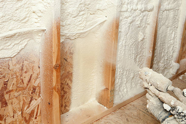 Best Wall Insulation Installation  in Thorndale, TX